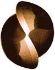 Immagine di Fresa sferica gambo rinforzato con scarico conico in metallo duro rivestito "Hard blade"